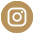 instagram Universidad Panamericana