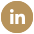 linkedin Universidad Panamericana